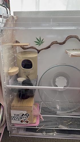 Amazon | GEXジェックス アクリルルーム390High-II フクロモモンガ専用