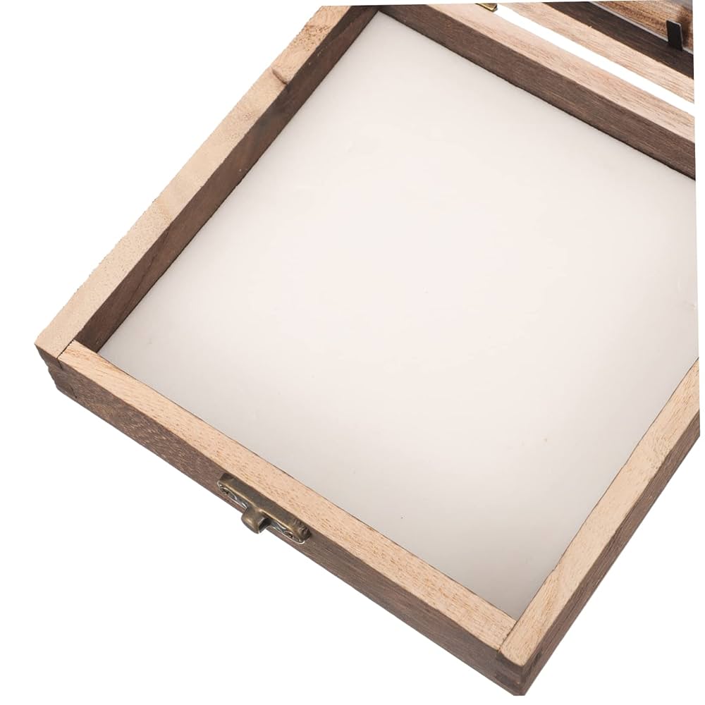 Amazon.co.jp: PartyKindom 1 セット ガラス昆虫標本箱 標本