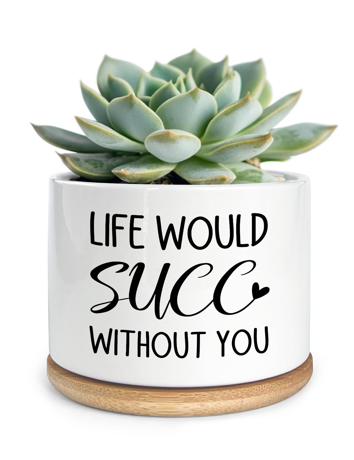 Cgvovgr Funny Life Would SUCC Without You Ceramic Succulent Planter Cactus Pots, Office Windowsill Decor Indoor, Succulent...