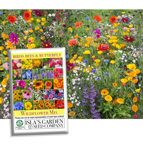 Birds, Bees & Butterflies Wildflower Mix – 500+ Seeds/PK by Isla’s Garden Seeds, Colo...