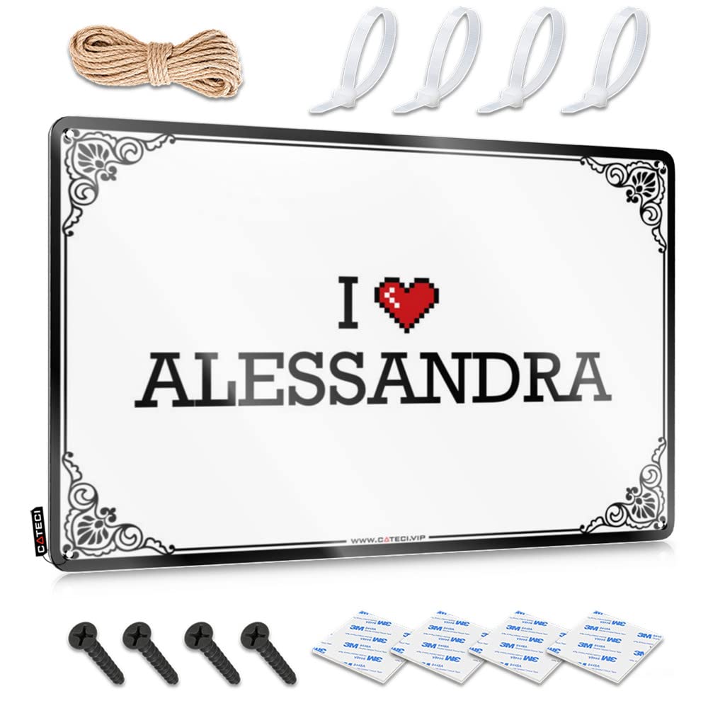 Fzfn Men's Colour I Love Alessandra Collection Nice - Cocoa Sign Wall Art Decoration(30X40cm)
