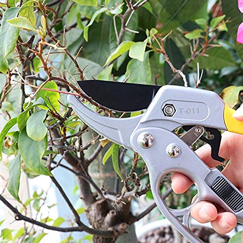 Darlac Super Classic Ratchet Pruner atelieryuwa.ciao.jp