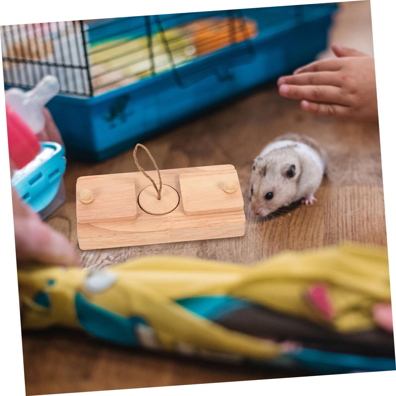 Jouet de Découverte de Nourriture pour Hamster, Lot de 2, Bois