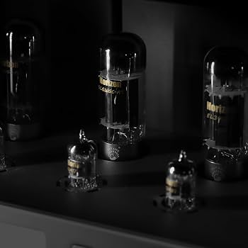 Amazon.com: PSVANE Horizon Series 6L6WGC-AT Vacuum Tube Amplifier