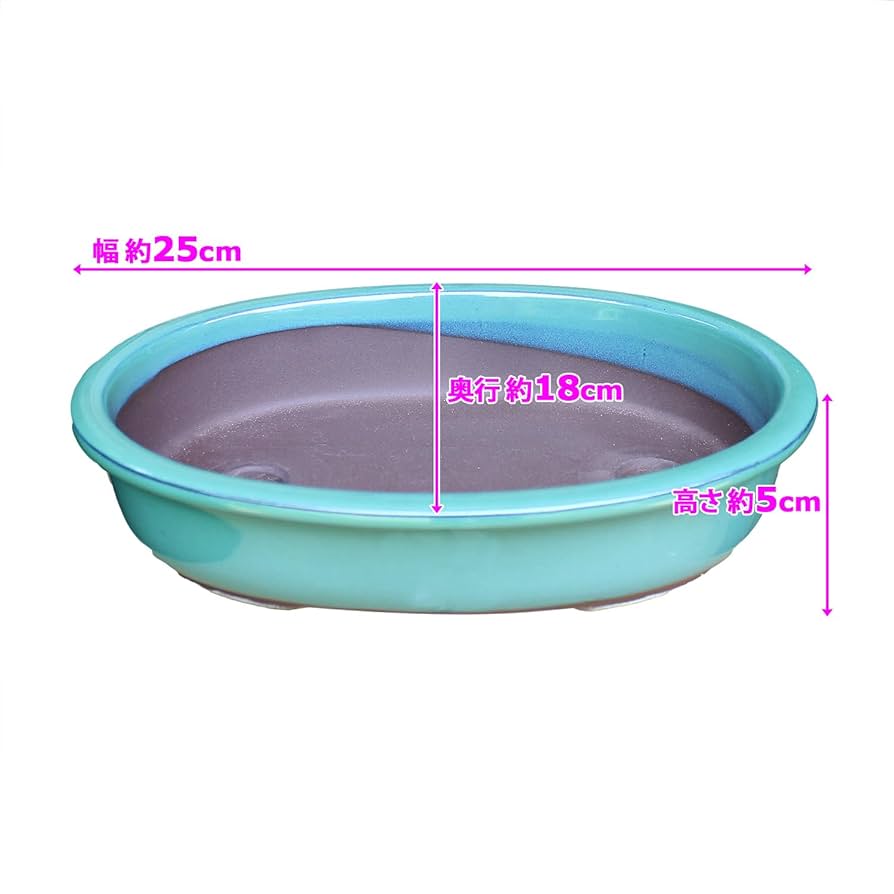 ◾️平安樋口一星作　彩色魚藻文大鉢共箱付き POTOCO 早乙女 サツキ 皐月 観葉植物 陶器鉢 盆栽 小品盆栽 苔