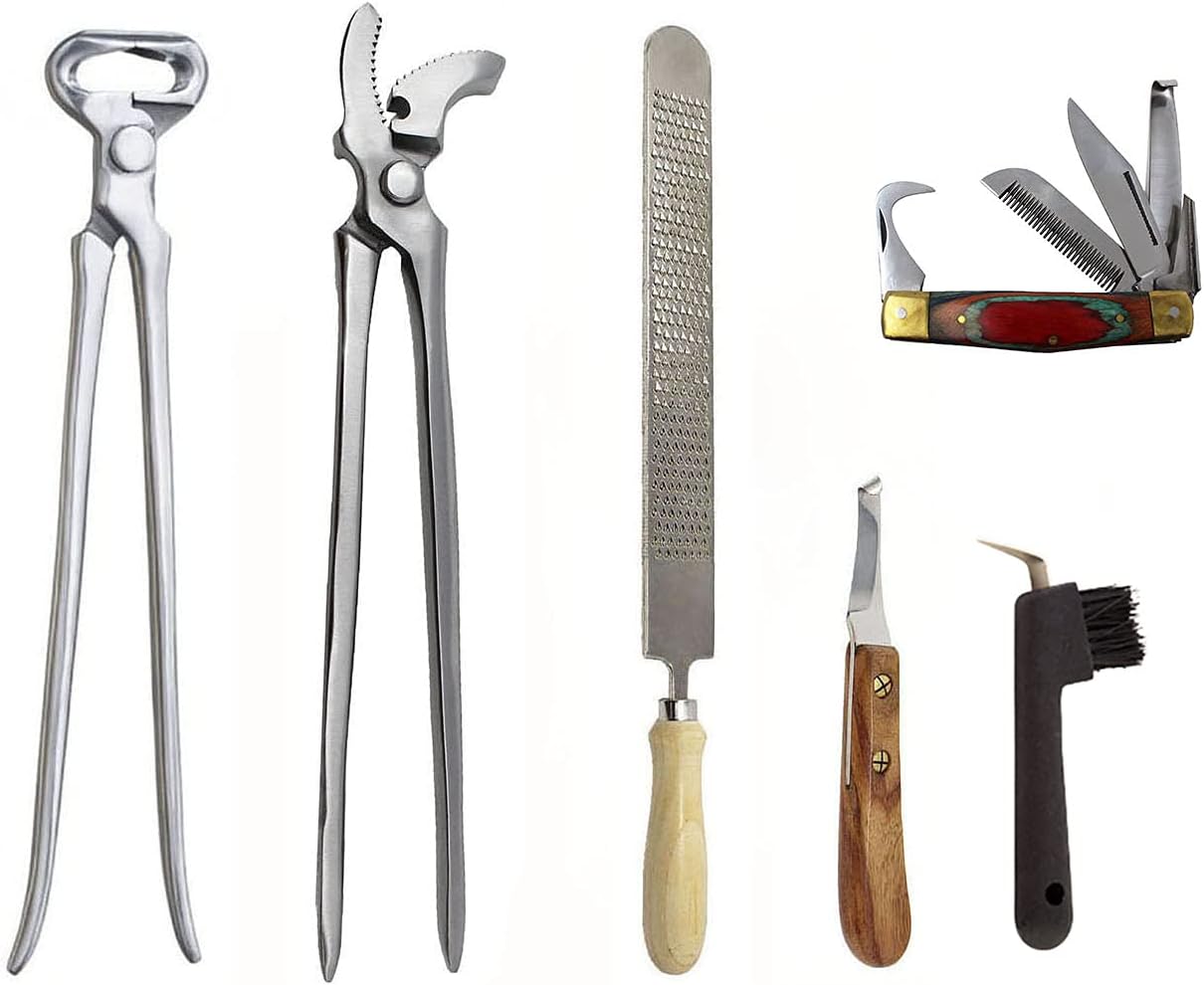 CHALLENGER Horse Farrier Tool Horse Farrier Essentials 6-Piece Groom Hoof Care Trim Tool Kit 984154