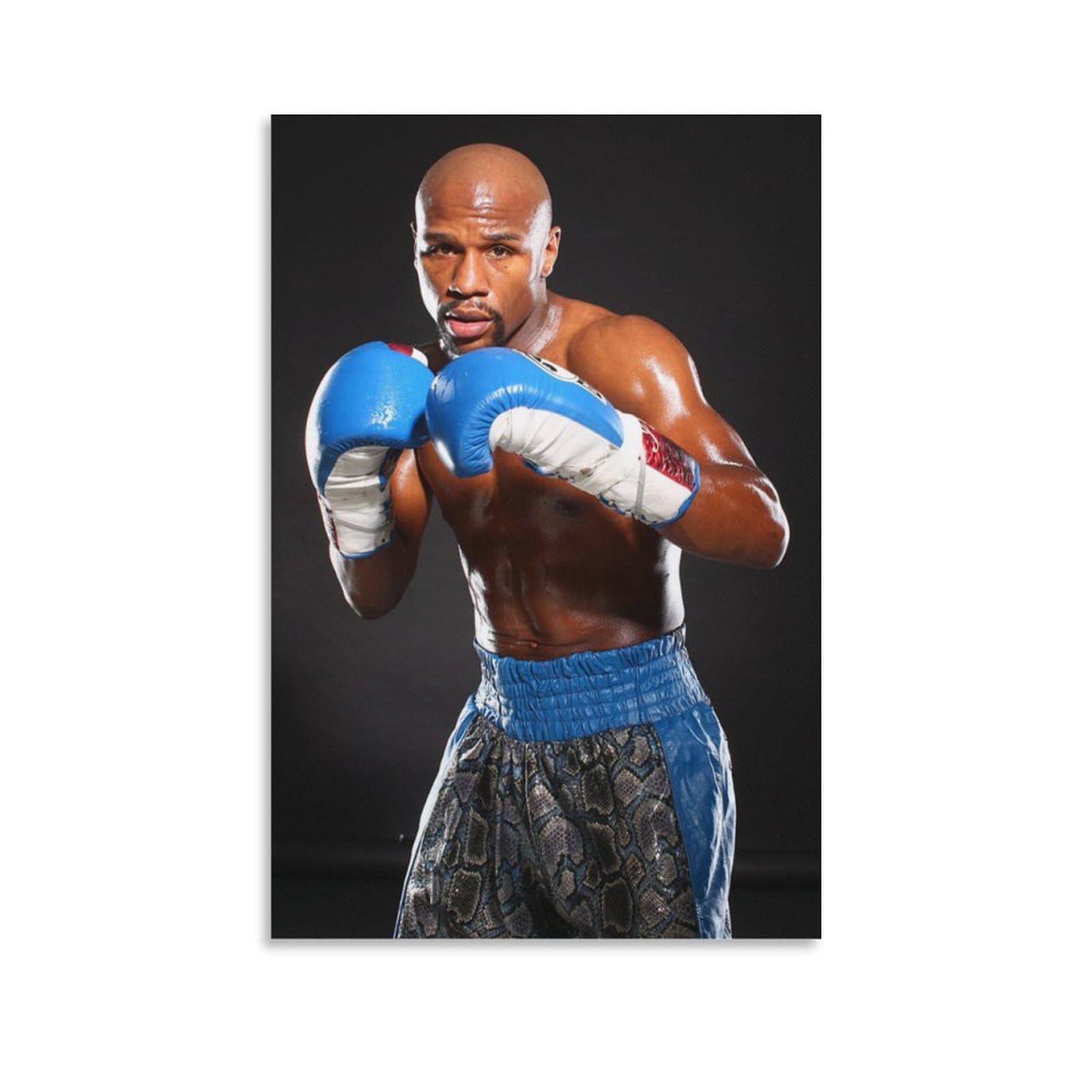 レア　メイウェザー　アートパネル　キャンバスアート　ボクシング　RIZIN Amazon.co.jp: ボクサー フロイド・メイウェザー・ジュニアa