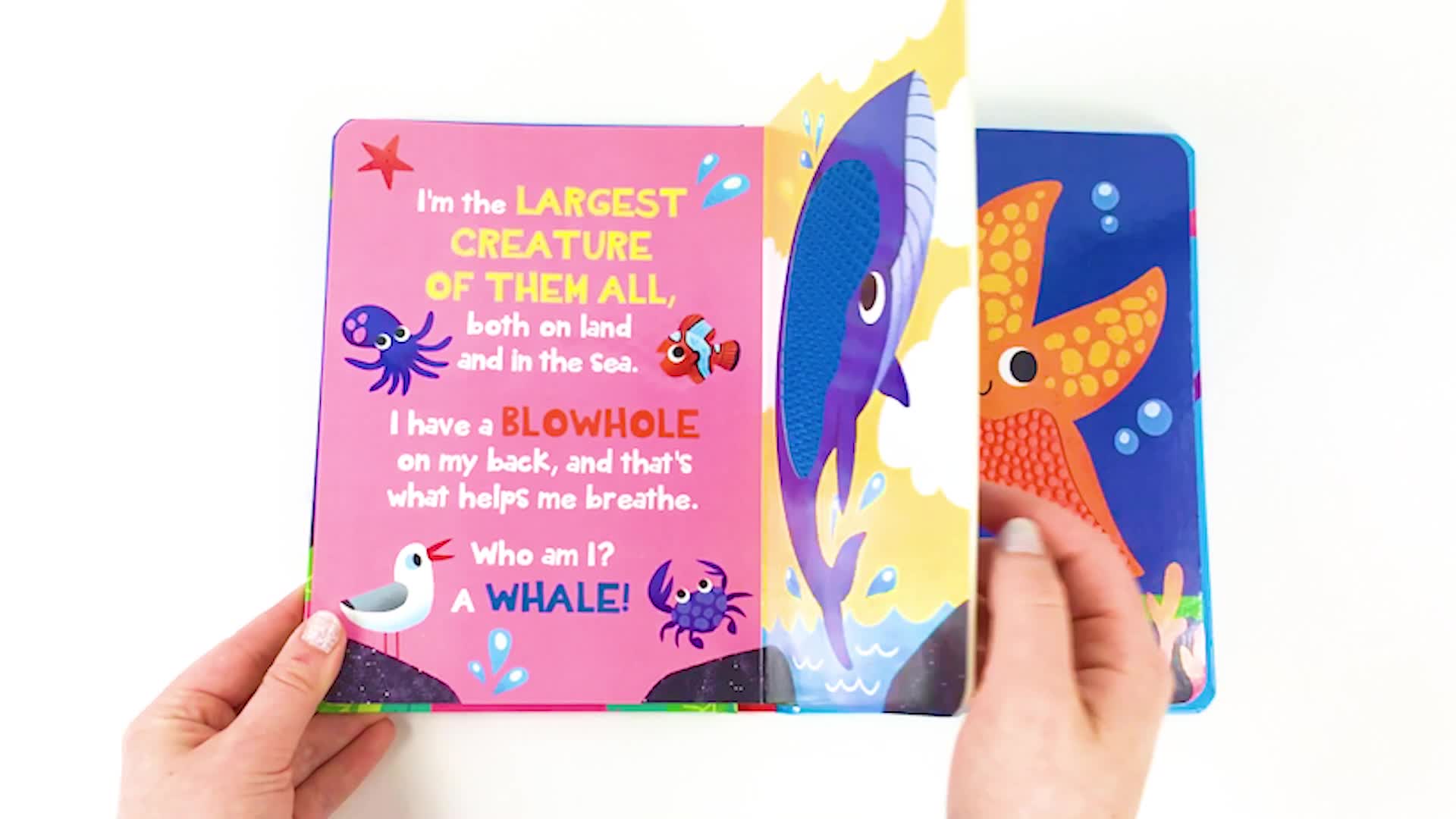 Image of Under the Sea - Silicone Touch and Feel Board Book - Sensory Board Book (Touch & Feel Sensory Board Books for Baby & Toddler Time)
