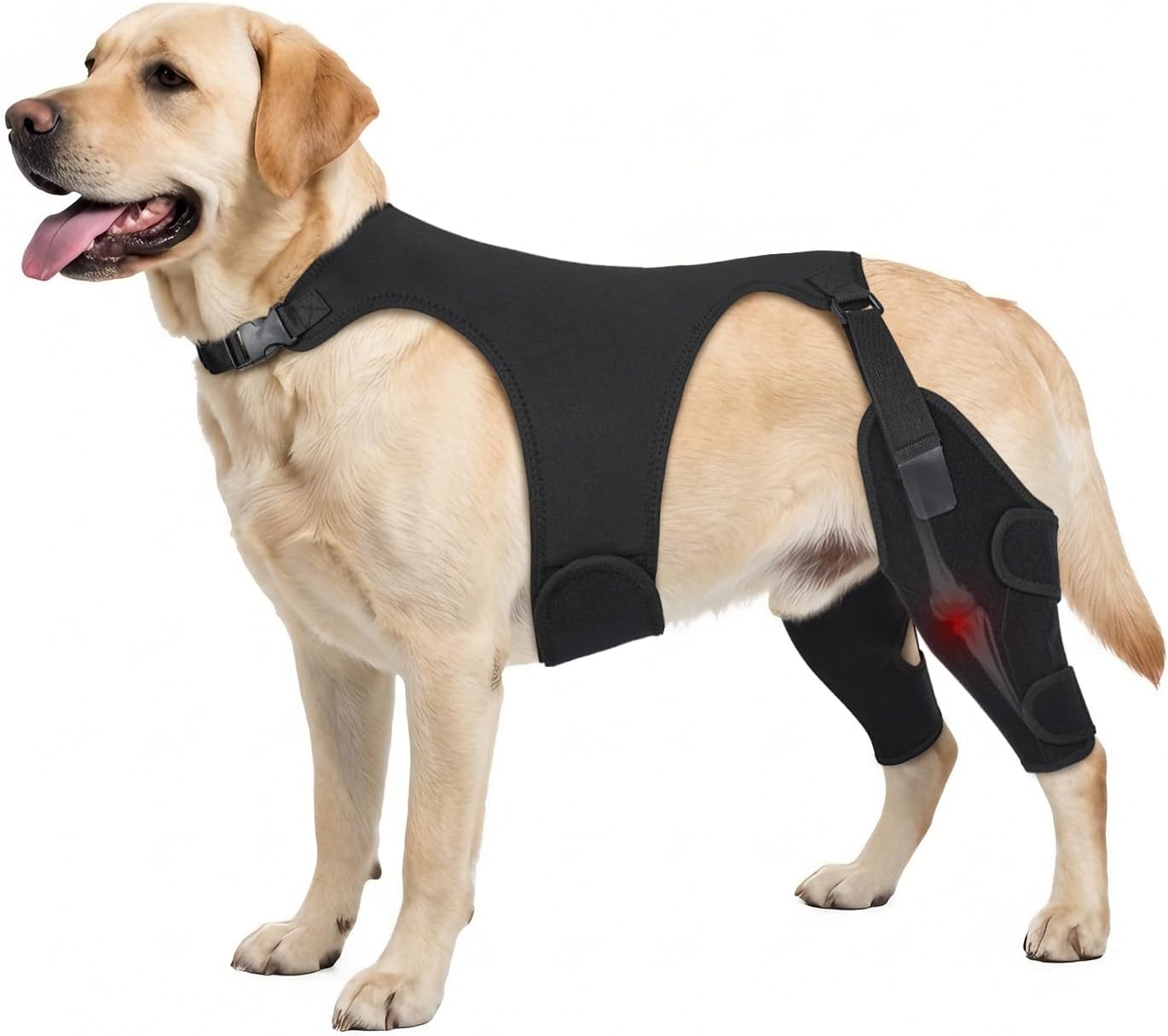 Dog Knee Brace for Torn ACL Hind Leg- Dog Leg Support Brace with Metal Stabilizers for Torn CCL, Limping, Luxating Patella, Ligament Injuries, Hip Dysplasia& Arthritis,XXL&Vest5