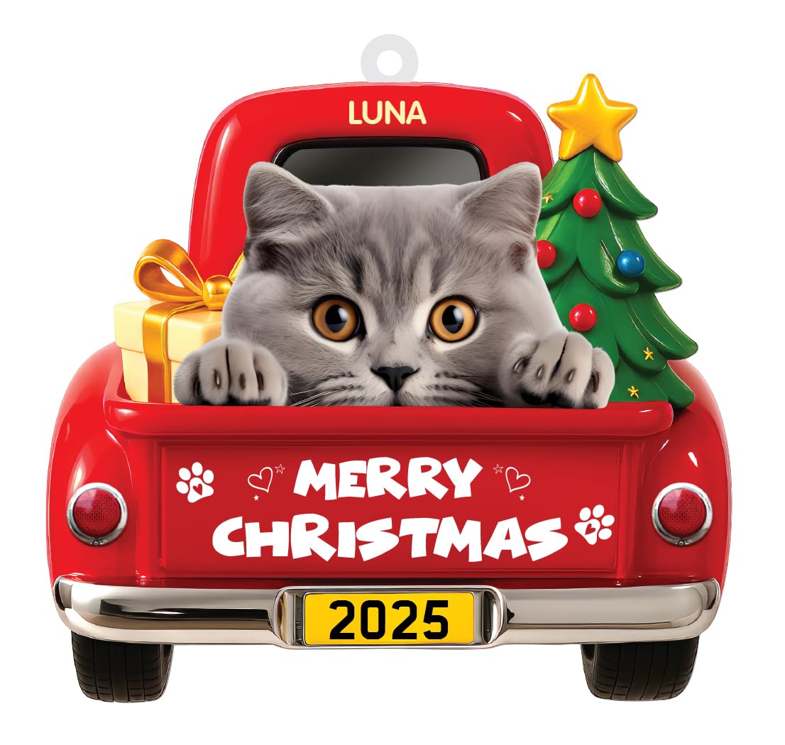 Personalised Pet Christmas Bauble Custom Dog Cat Photo Xmas Tree Decoration, Cute Puppy Pet Lover Ornament Keepsake Gift (Cat)