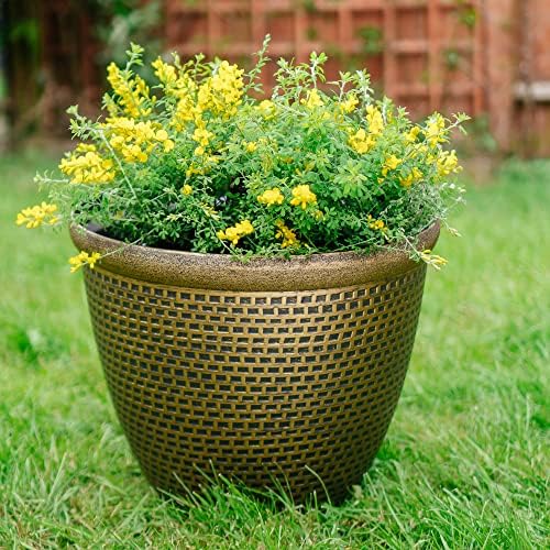 SG Traders 2 X Large Plastic Round Cromarty Plant Pot Flower Pot Planter Garden Decoration Gold 30cm Plant Pot Outdoor Flower Pots Outside Garden Planters Outdoor With Drainage Holes