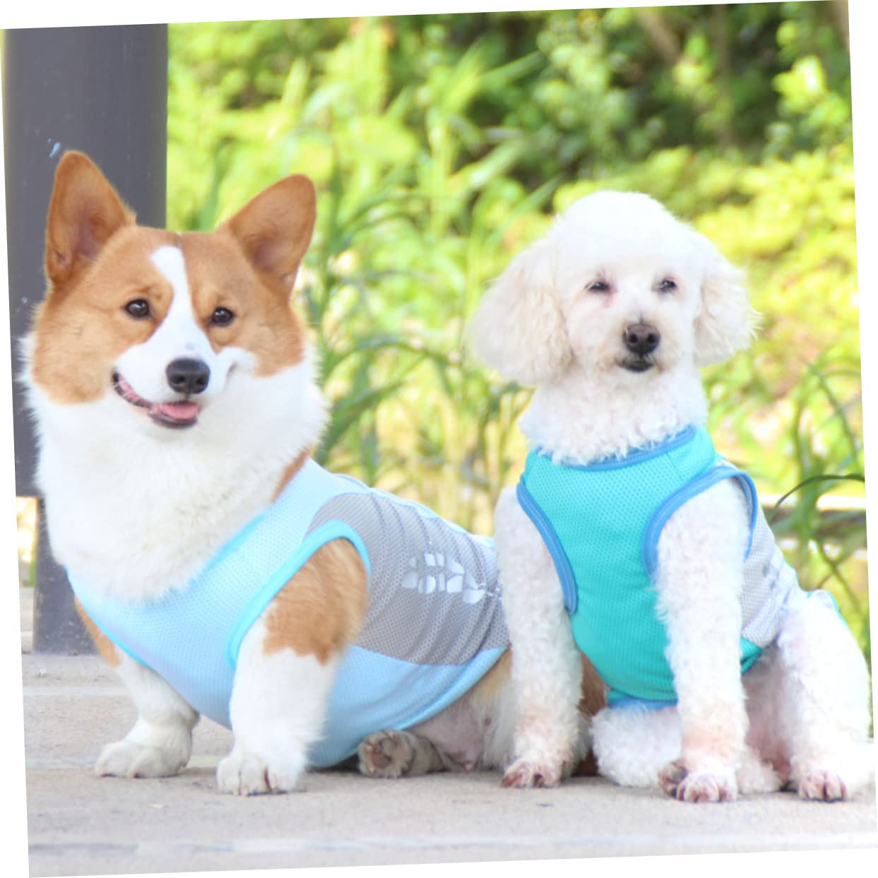 Sosoport 3stücke Kühlende Hundeweste Für Sommer Atmungsaktive Hautfreundliche Kühljacke Für Hunde Elegantes Design Für Kleine Und Mittelgroße Hunde Für Outdoor-aktivitäten Und