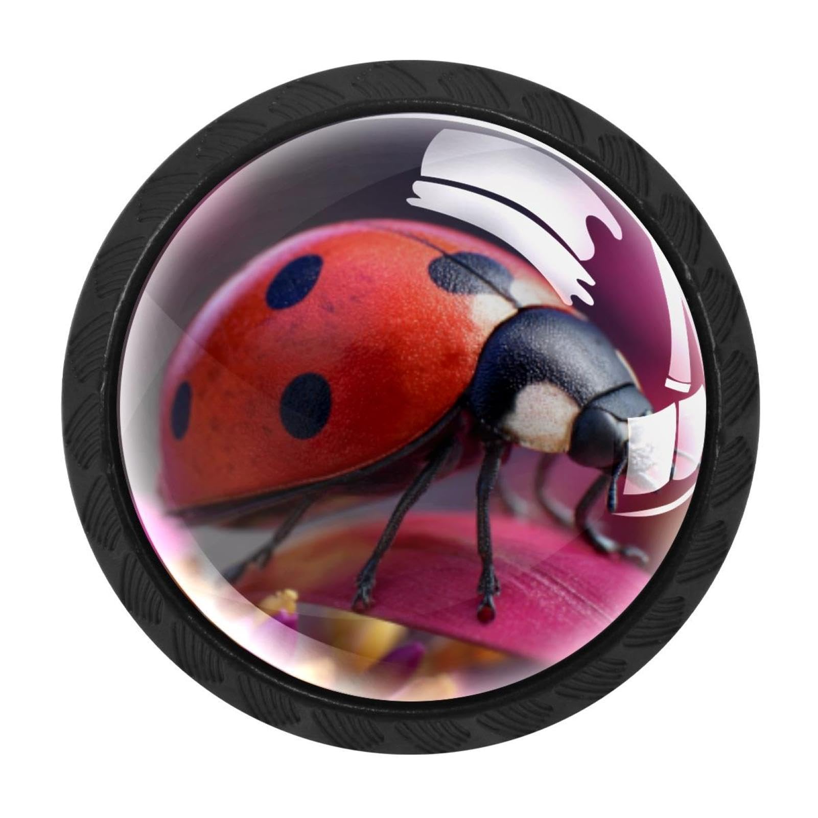 CHENZZZZ Ladybug Cabinet Knobs 4 Pieces Drawer Kitchen Cabinets Dresser Cupboard Wardrobe Unique Pulls Handles