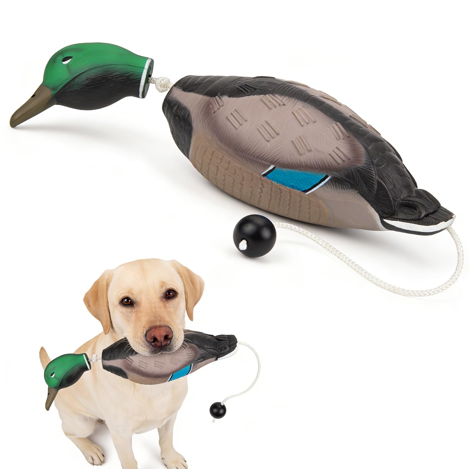 Dummy per Addestramento Cani, Dummy da Riporto Anatra con Codolo da Lancio, Dummy Impermeabile per Addestramento Cani, Anatra in Eva, Finto Cercitore per Cuccioli oi da Caccia Adulti