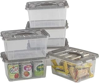 Neadas Scatole in Plastica Trasparente con Coperchio e Manico Grigio Trasparente, Set di 6