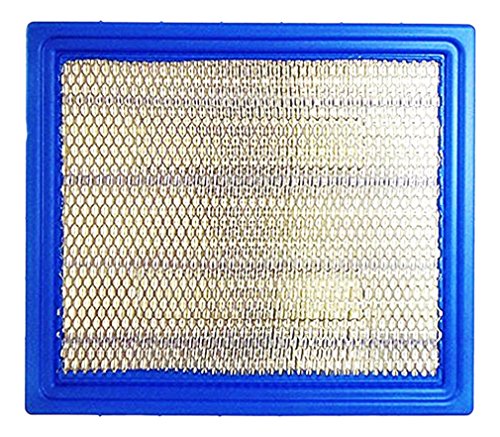 Polaris 7081706 Pure Main Filter Air Box