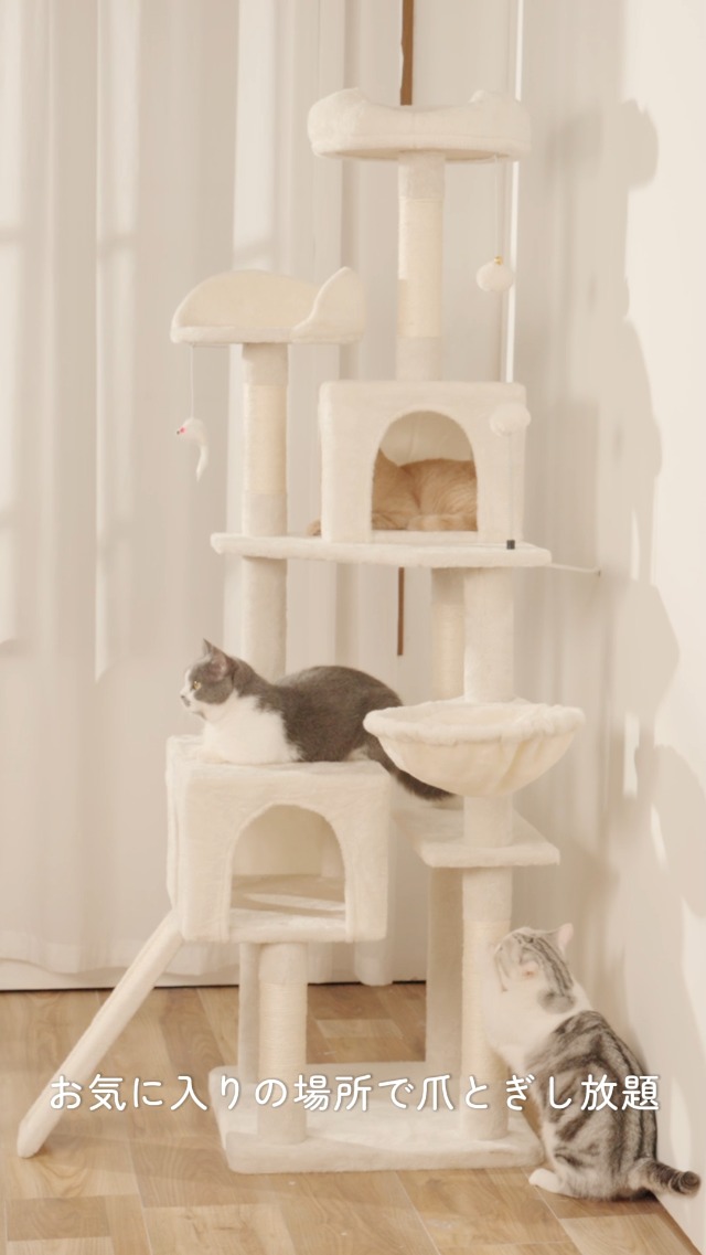 Amazon.co.jp: AIFY キャットタワー 大型猫用 多頭飼い 省スペース