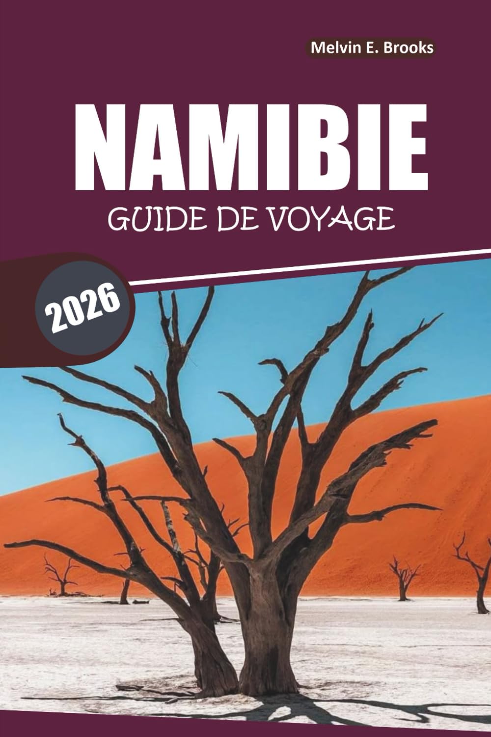 Guide de voyage Namibie 2026: Conseils essentiels et itinéraire pour explorer la faune, les aventures et les découvertes culturelles en Afrique australe
