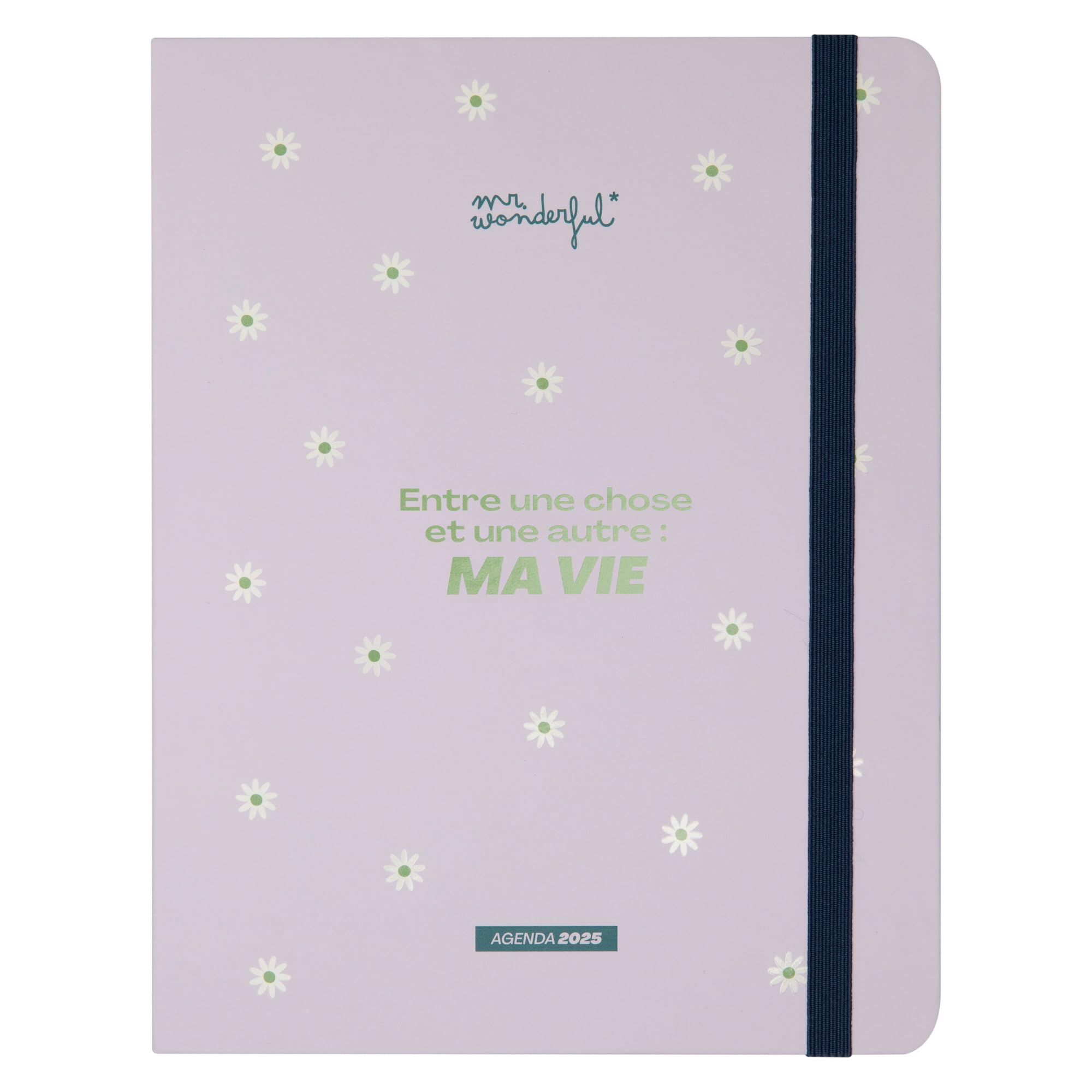 Mr. Wonderful - Office 2025 Week to View Diary - Between One Thing and Another: My Life - With 8 Sheets of Stickers and Sticky Notes