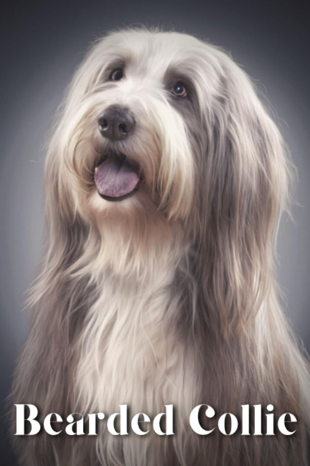 Bearded Collie: Dog breed overview and guide