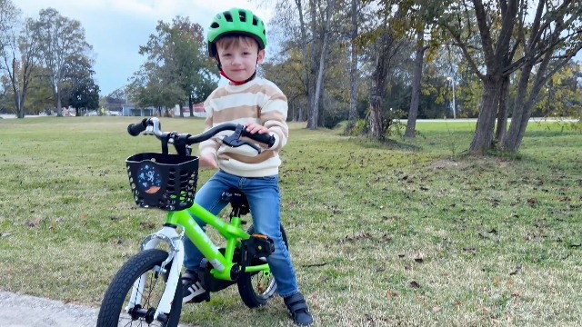 Vélo Enfant JOYSTAR Pluto 14 Pouces – Pour Garçons Et Filles De 3 à 5 Ans, Avec Roues Stabilisatrices, Panier Et Bidon – Vert