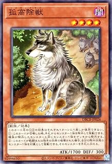 孤高除獣の画像