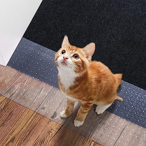 Find The Best Cat Scratch Carpet Protector Reviews & Comparison Katynel