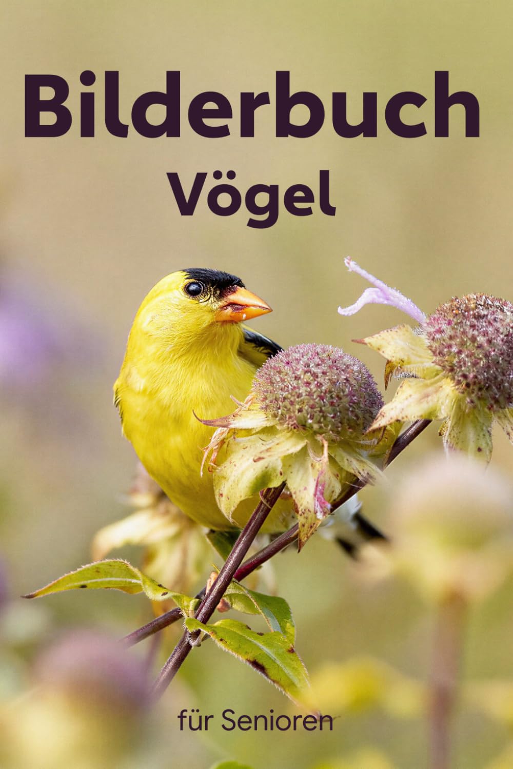 Bilderbuch für Senioren - Vögel, Farbenfrohe Vogelfotos in Großdruck für Demenz und Alzheimer-Patienten mit Namen