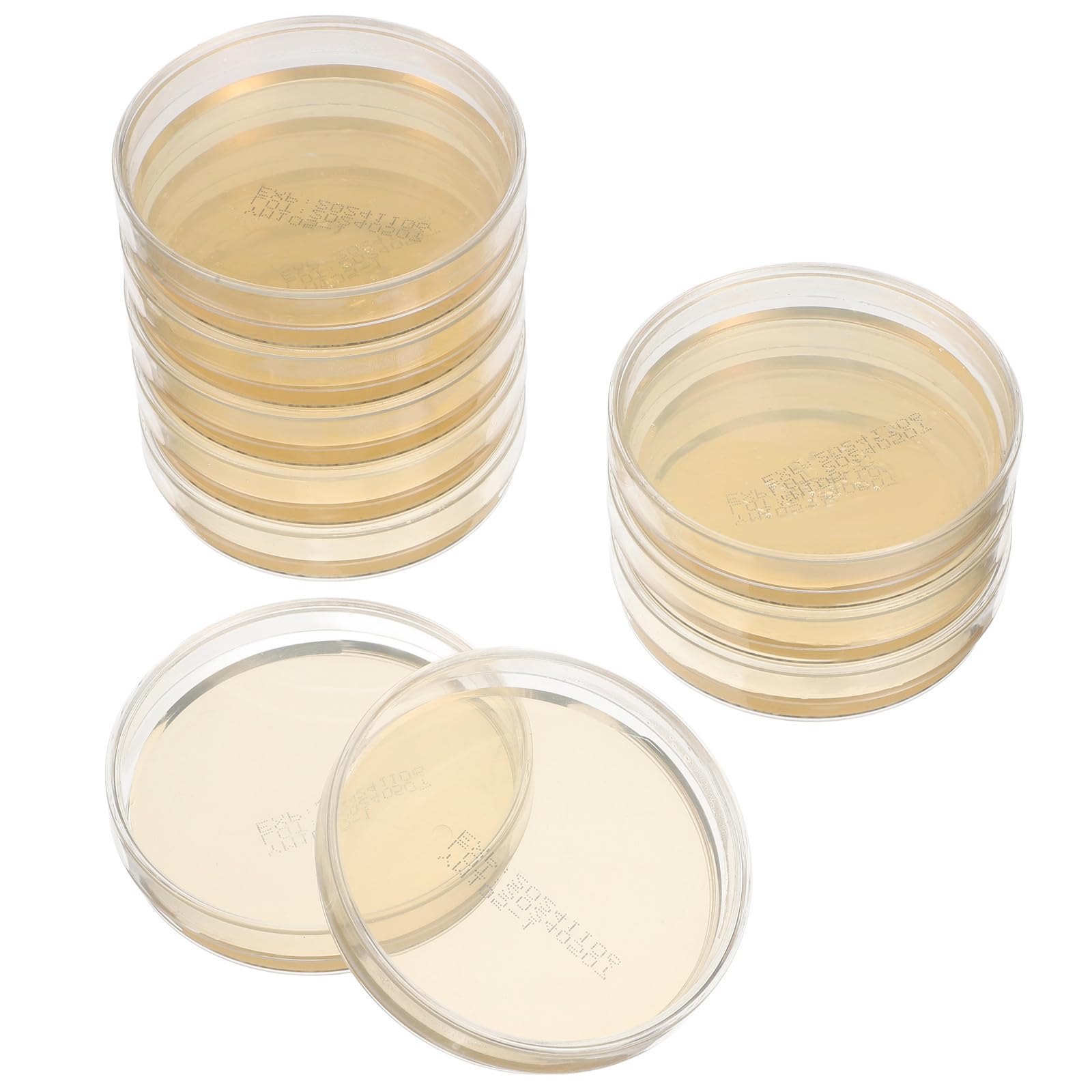 Boîtes de Petri Pré-remplies à Agar 7cm, Lot de 10
