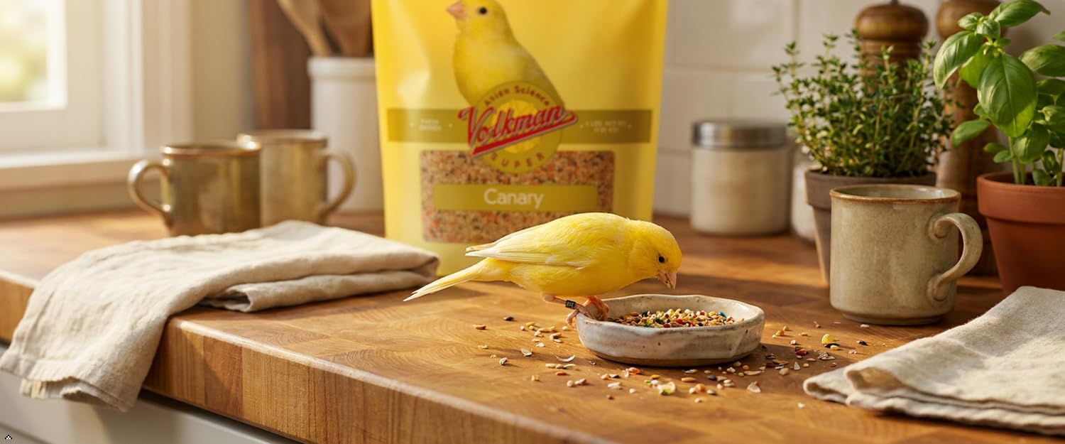 Volkman Seed Avian Science Super Canary Seed Nutritionally Balanced Food 4lbs
