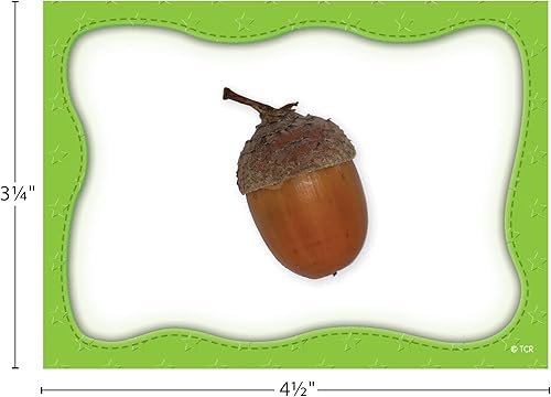 Miniatura 7 de Teacher Created Resources Materiales educativos diversos en inglés para preescolar y primaria