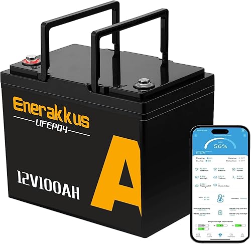 Enerakkus Batería de litio LiFePO4 de 12 V 100 Ah con Bluetooth, 100 A BMS, hasta 15000 ciclos, tamaño mini para caravanas, autocaravanas, barcos,