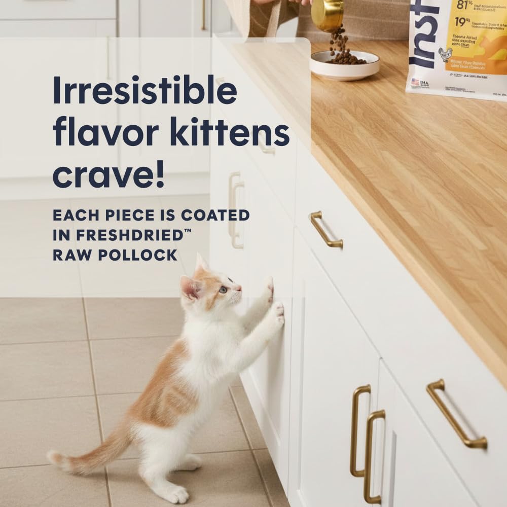 Instinct Receta Original sin Grano Natural seco Cat Alimentos por la Naturaleza de la Variedad