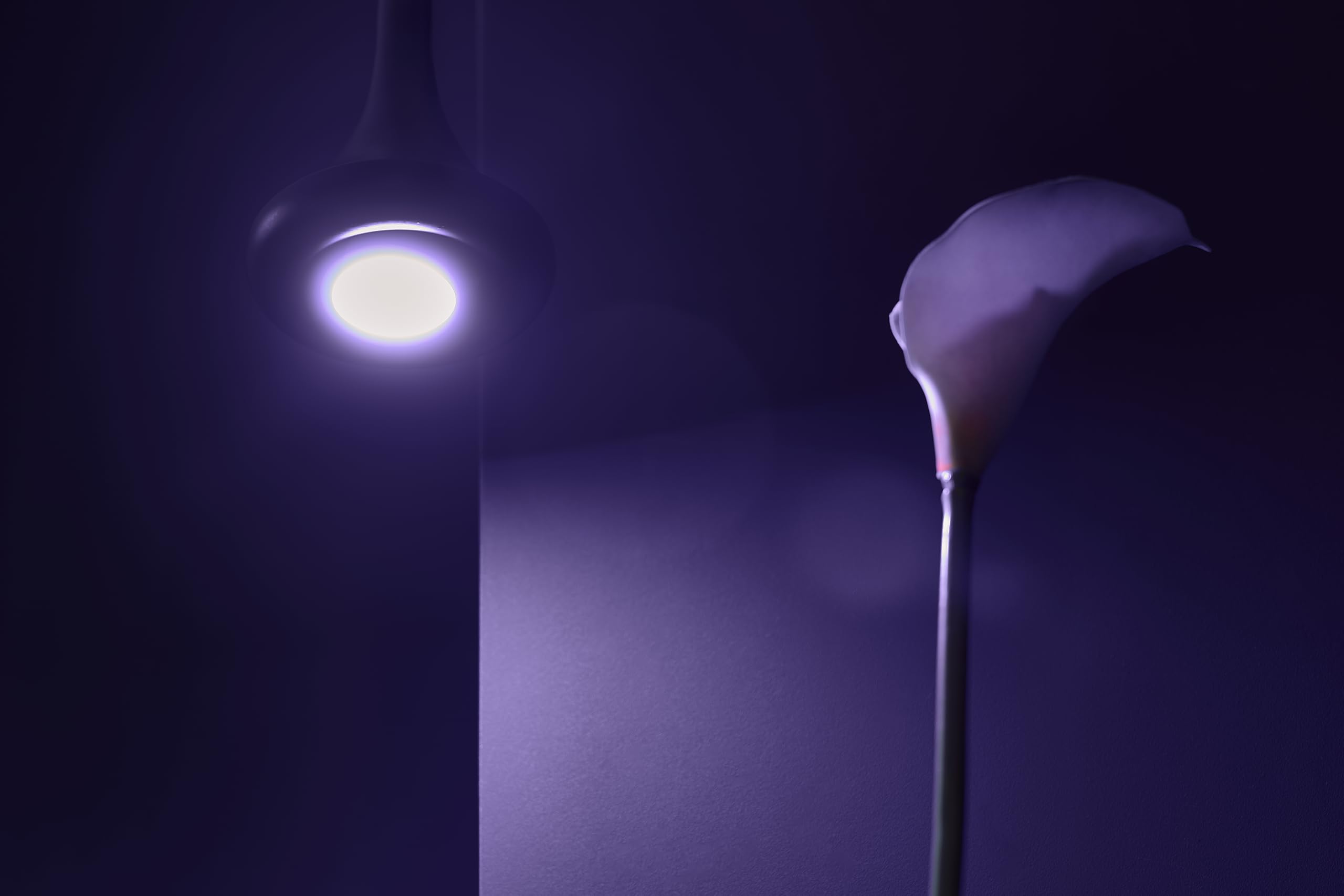 Shelly Duo GU10 -Bezprzewodowa Żarówka Z Monitorowaniem Zużycia Z Funkcjami Ściemniania,Koloru,Automatyka Domowa,Aplikacja iOS, Android,Kompatybilna Z Alexa,Google Home