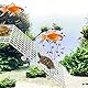 WANGCL Trenngitter für Aquarien, 5 Stück, Trenngitter für Aquarien, Trenngitter mit 10 Saugnäpfen, Weiß