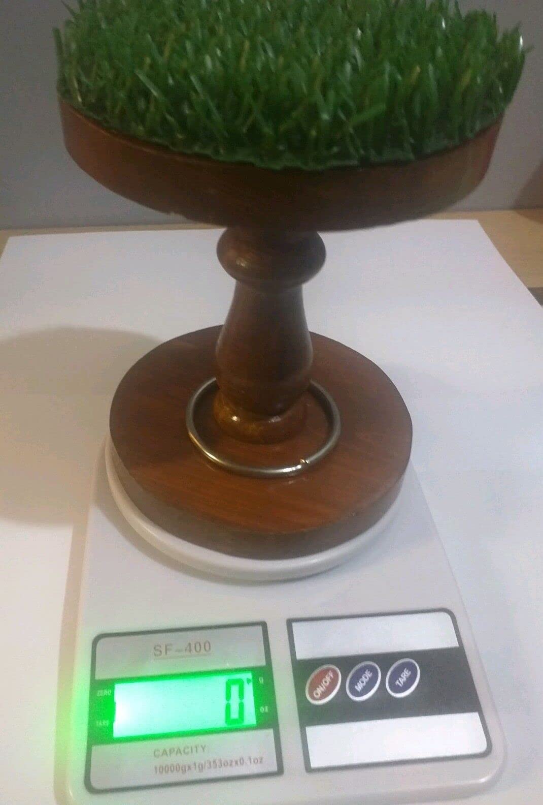 Falconry Digital Scale Made with Original AstroTurf and Ring