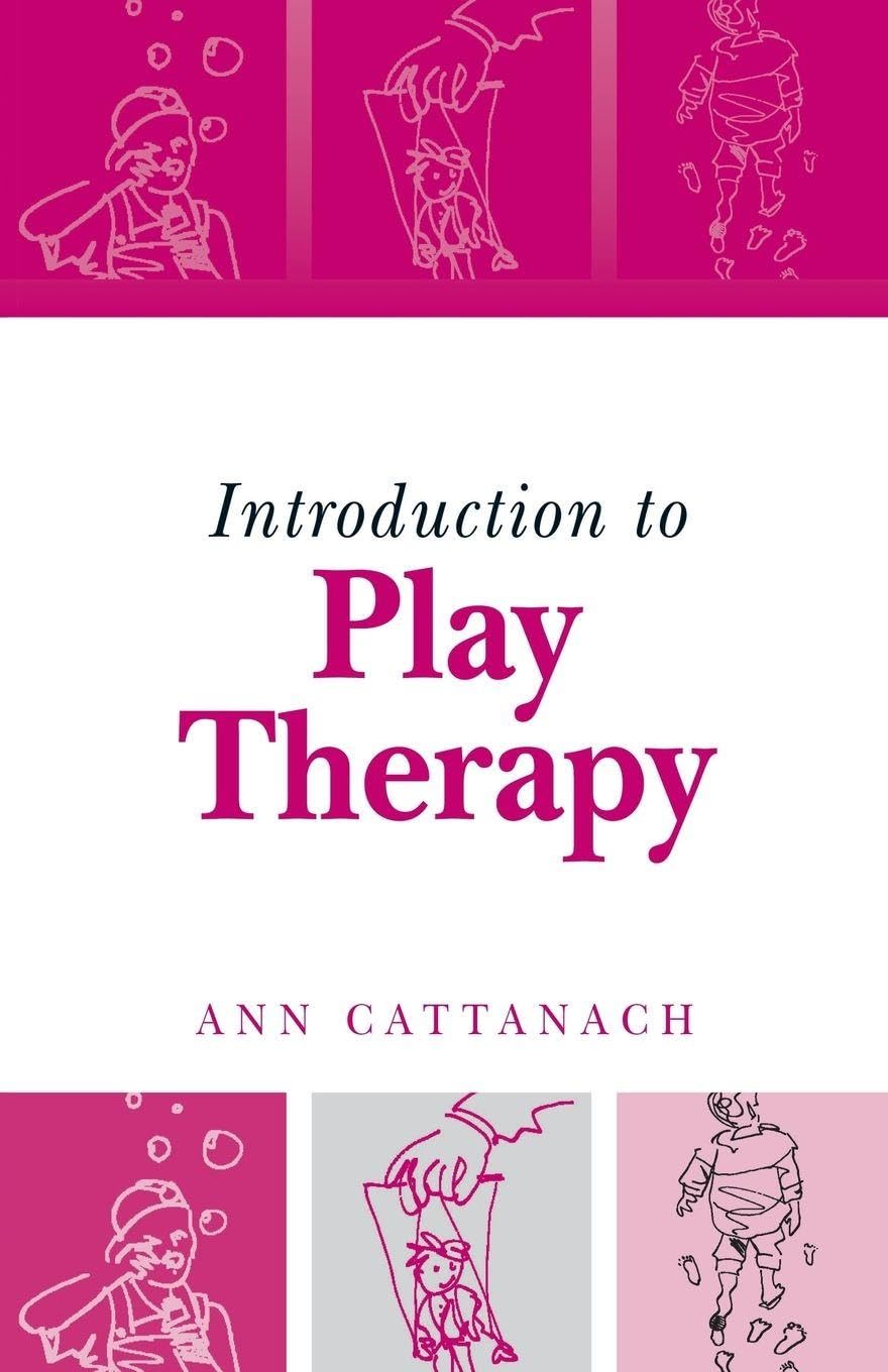 Introduction to Play Therapy by Ann Cattanach PAPERBACK 9781583912485