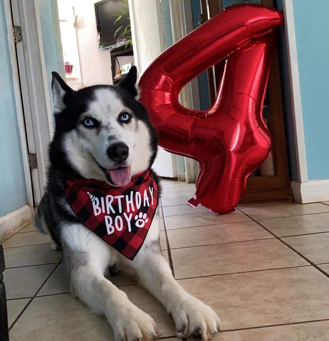 Red 0 balloon 40 Inch Giant Helium Foil Number 0 to 9 Red Balloon Birthday Wedding Party Digital Decorations (Number 0) — view 349