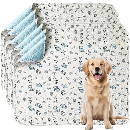 Almohadillas de Entrenamiento Lavables para Perros, 6 Piezas Empapadores para Perros Reutilizables, Alfombrilla para Mascotas Superabsorbente, Antideslizante, para Perros y Gatos, 45x60cm