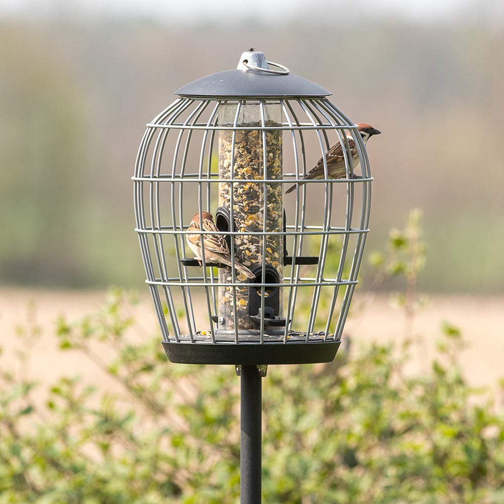 Vivara Schutz-Futtersäule für kleine Vögel Aura - Ø 26 cm - Höhe: 32 cm