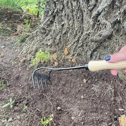 Rastrillo manual DeWit Bio con mango de madera miniatura 3