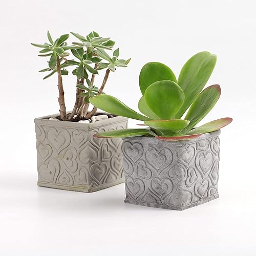 Miniatura 5 de NICOLE - Moldes cuadrados de silicona para maceteros de concreto para hacer macetas de flores para patrones de textura de corazón, jardinería,