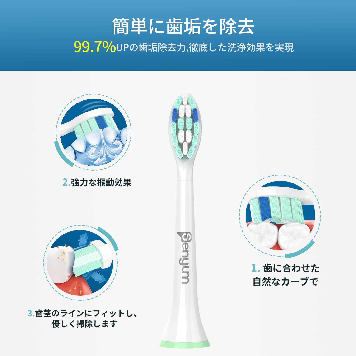 Amazon.co.jp: Senyum 歯ブラシ 替えブラシ フィリップス