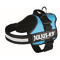 Julius-K9 162AM-2 Pettorina K9, Acquamarina