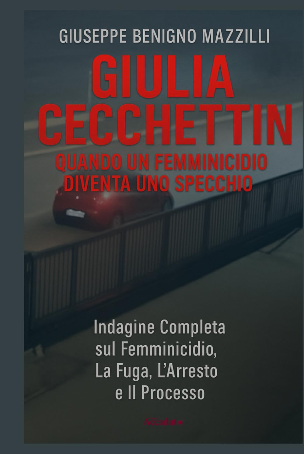GIULIA CECCHETTIN - QUANDO UN FEMMINICIDIO DIVENTA UNO SPECCHIO: Indagine Completa sul Femminicidio, La Fuga, L’Arresto e Il Processo (Realmente Accaduto)