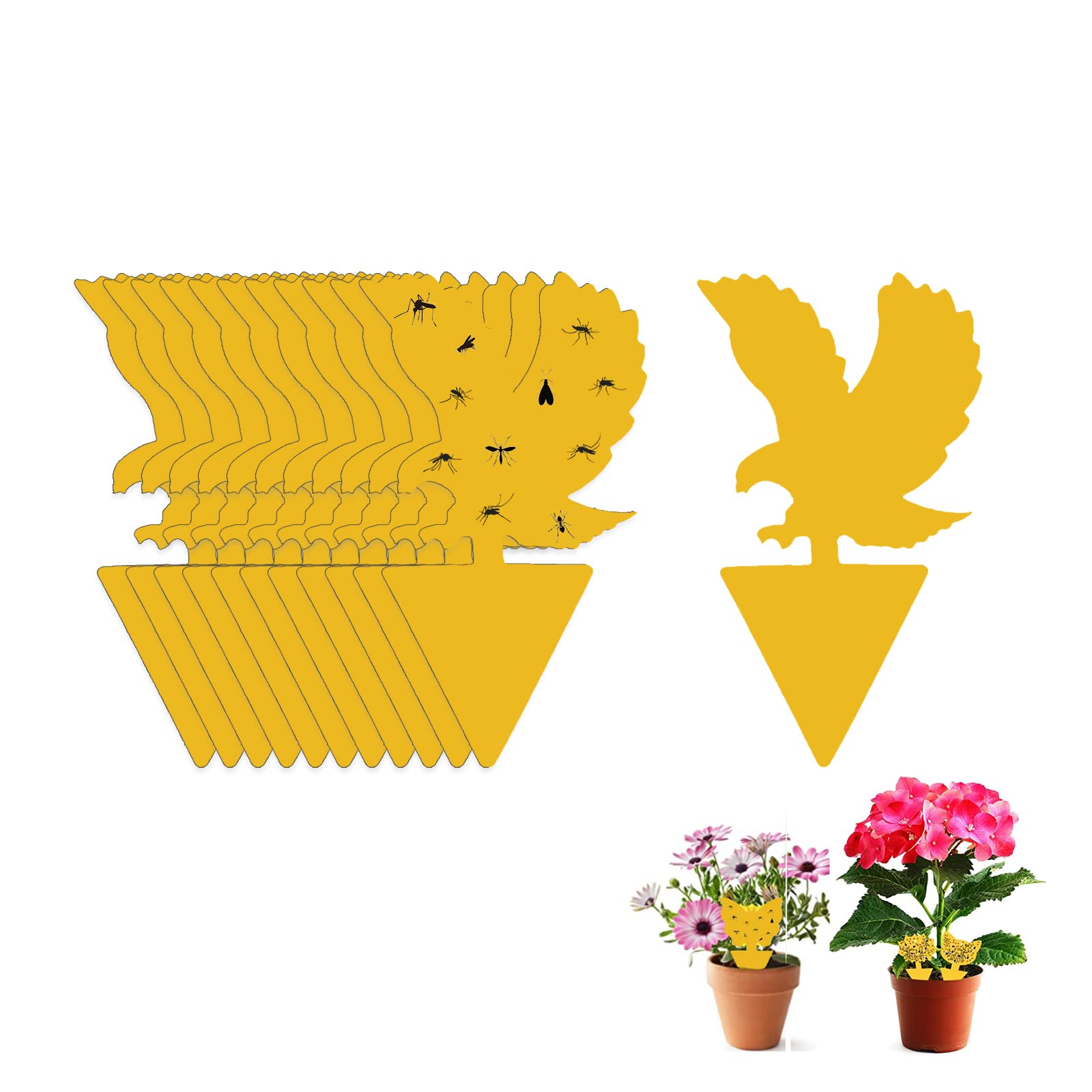 Fruit Fly Sticky Trap, 12PCS Fungus Gnat Traps Insect Trap, yellow sticker protection plant for Kitchen Indoor Outdoor Catch White Flies Mosquitos Fungus Flying Insects Houseplant (Eagle)