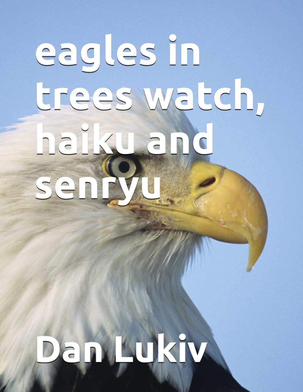 eagles in trees watch, haiku and senryu