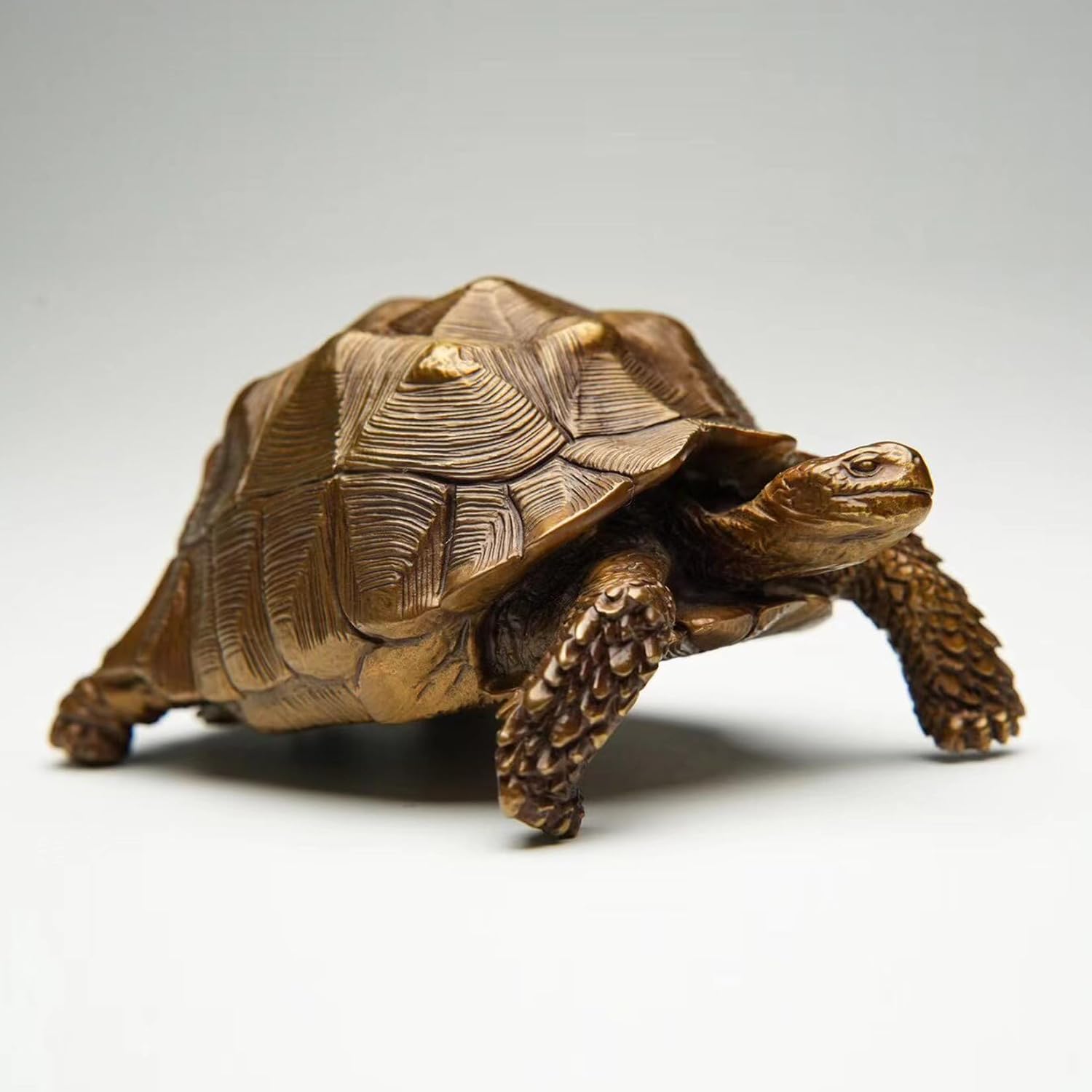 BOWUZHI Studio Sahel Tortoise Bronze Edition Model Turtle Figure