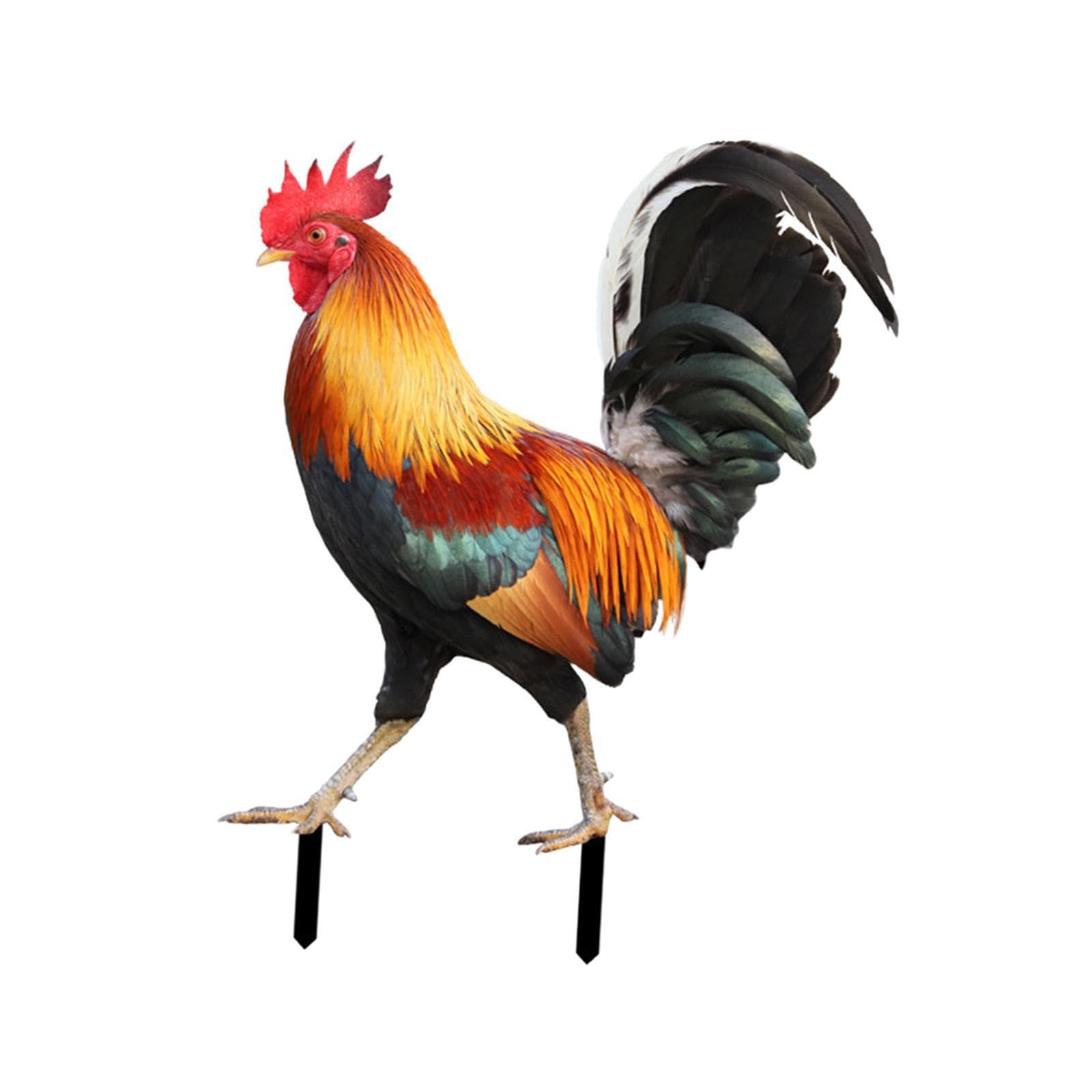 ALCXAZS Outdoor Garden Decor Yard Decoration Lifelike Rooster Garden Stake Animal Statue Metal Decorative Lawn Insert Sculpture Yard Decoration Decor