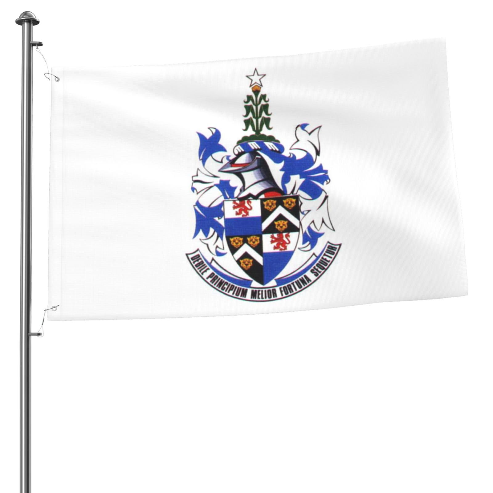 Amazon.com : Coat Of Arms Of Durban Flags For Outside 2x3ft